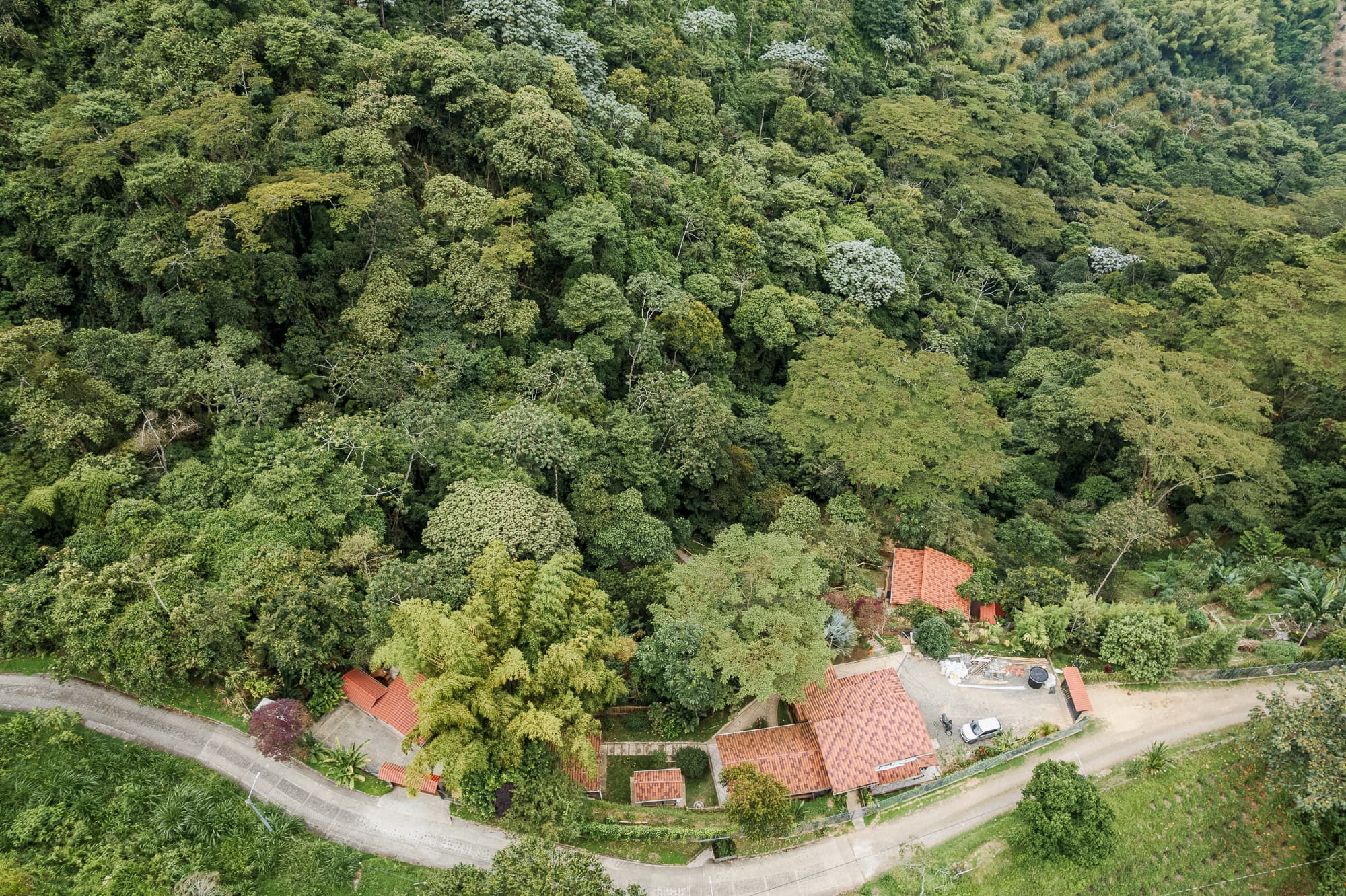 Naturaleza y bosque en Risaralda